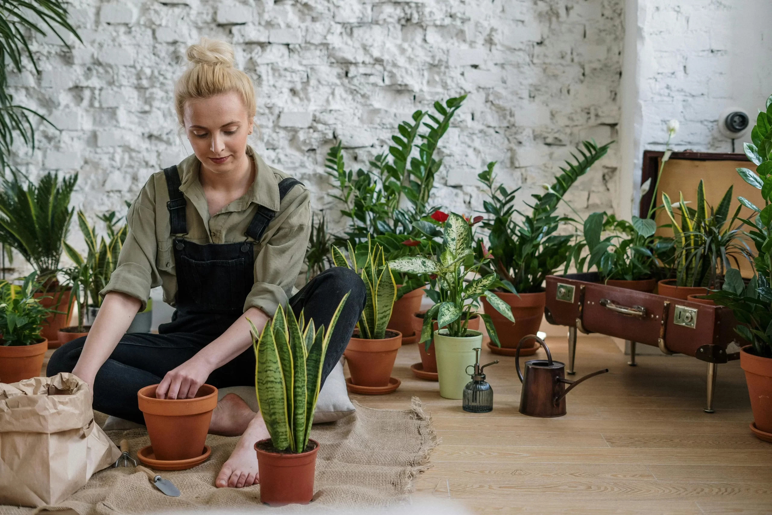 Explore cheap container gardening ideas to grow your garden on a budget. Find affordable tips for thriving plants without breaking the bank!