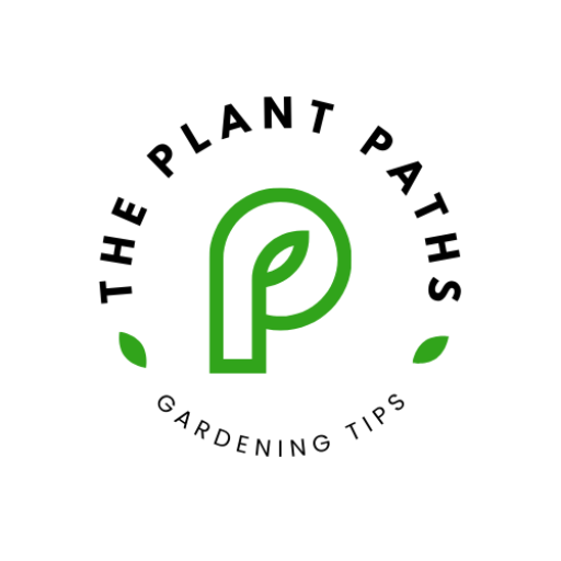 The Plant Paths