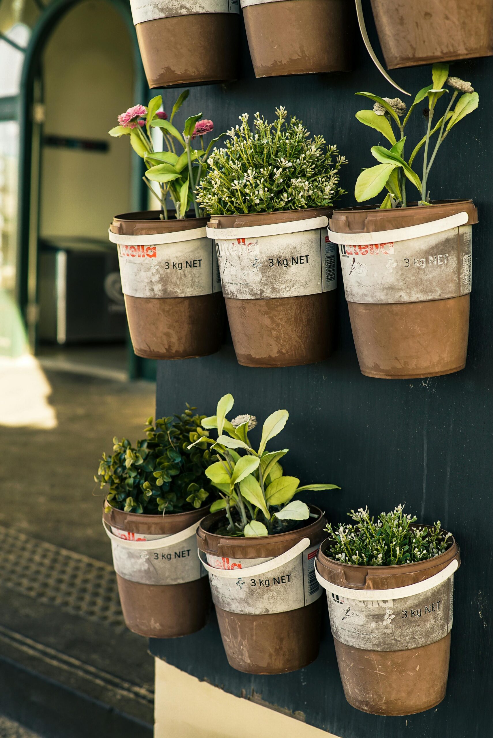 vertical gardening