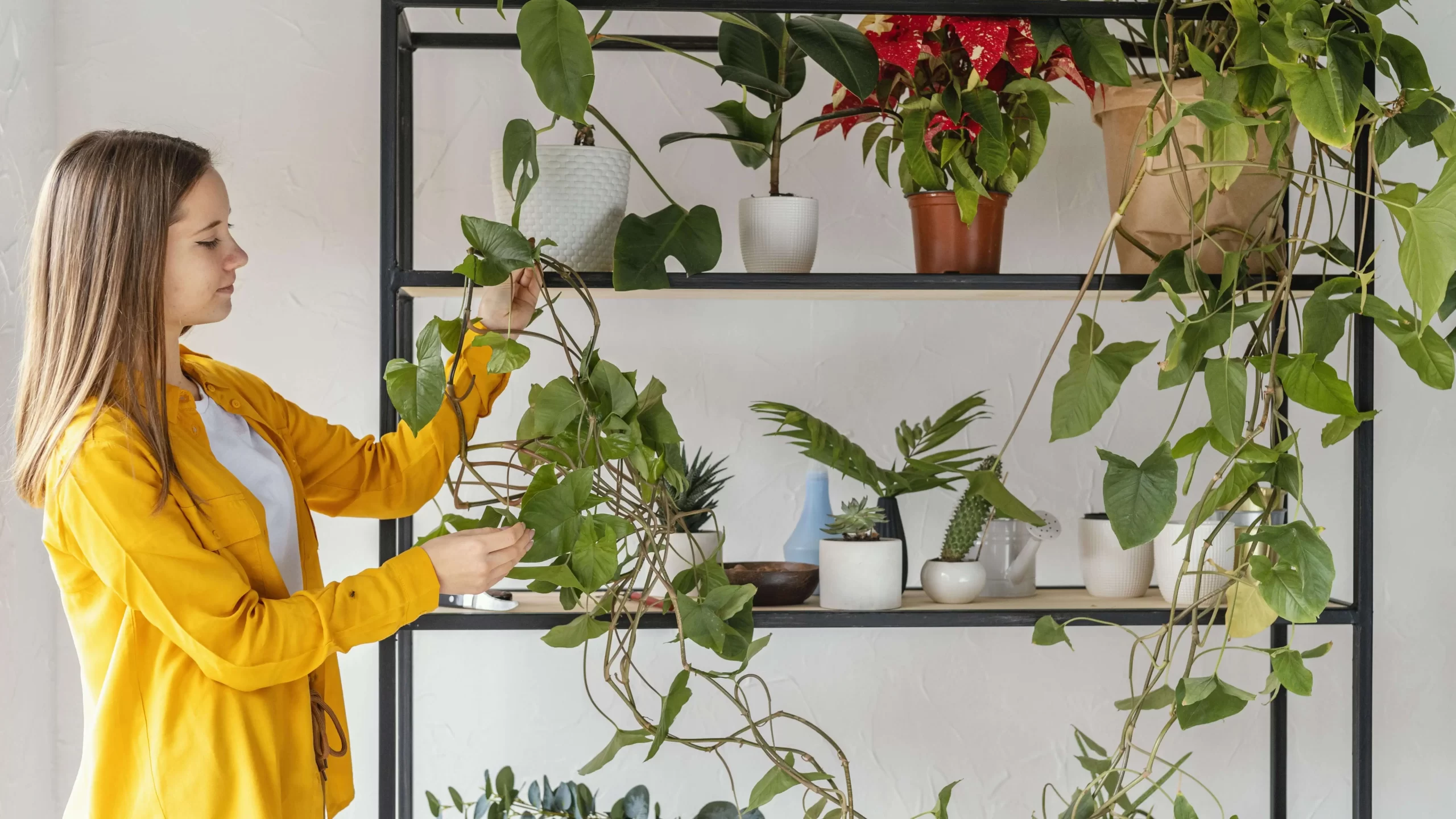 Discover the benefits of indoor vertical gardening in 'Unlocking Space.' Maximize limited areas and enhance your home with greenery.