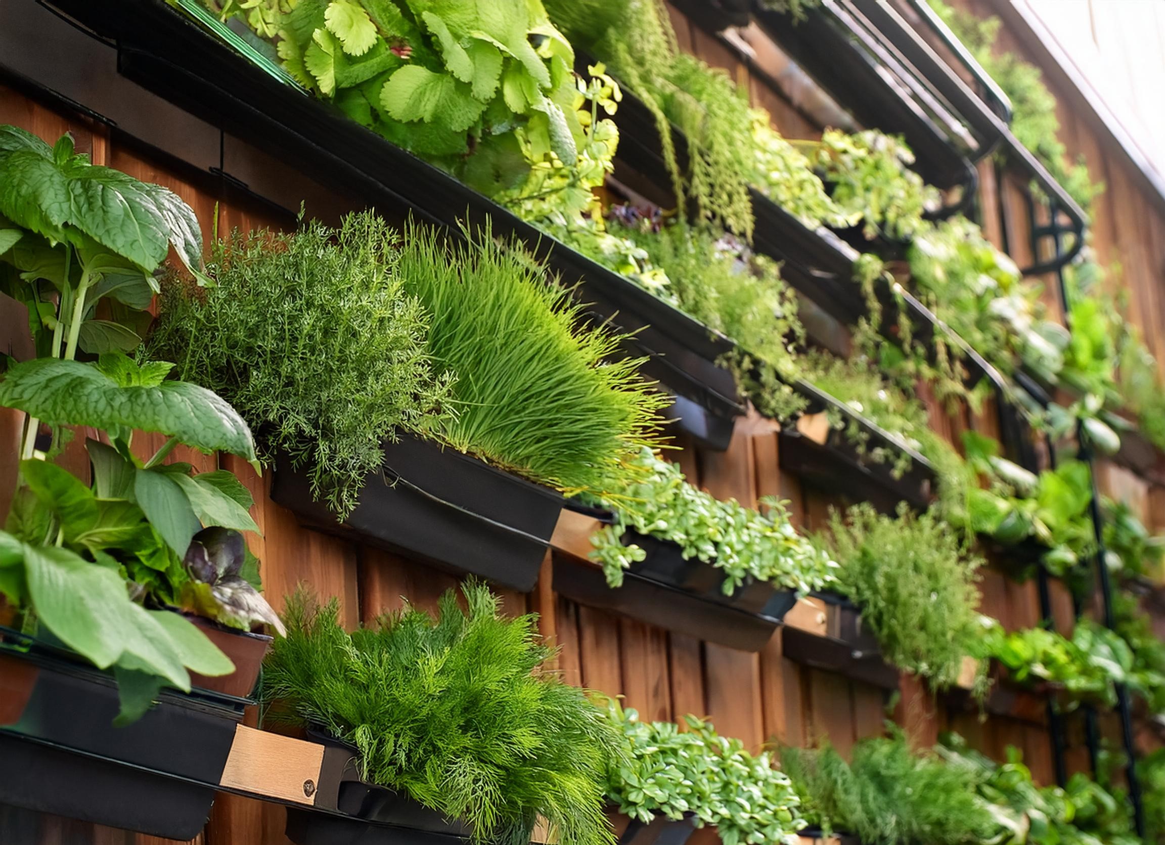 vertical gardening ideas