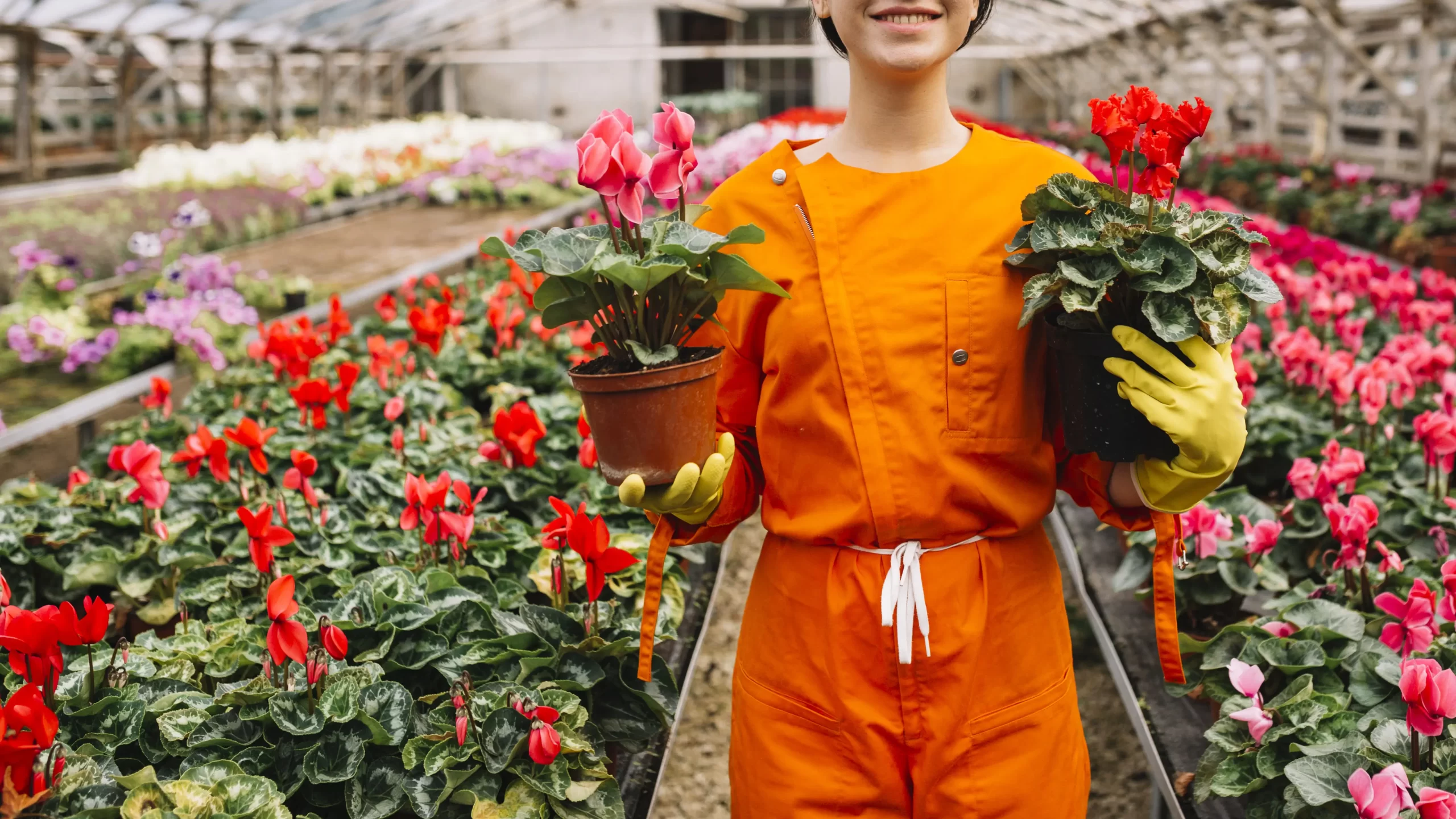 Grow vibrant flowers in containers with easy tips for small space gardeners. Create stunning floral displays with minimal effort!