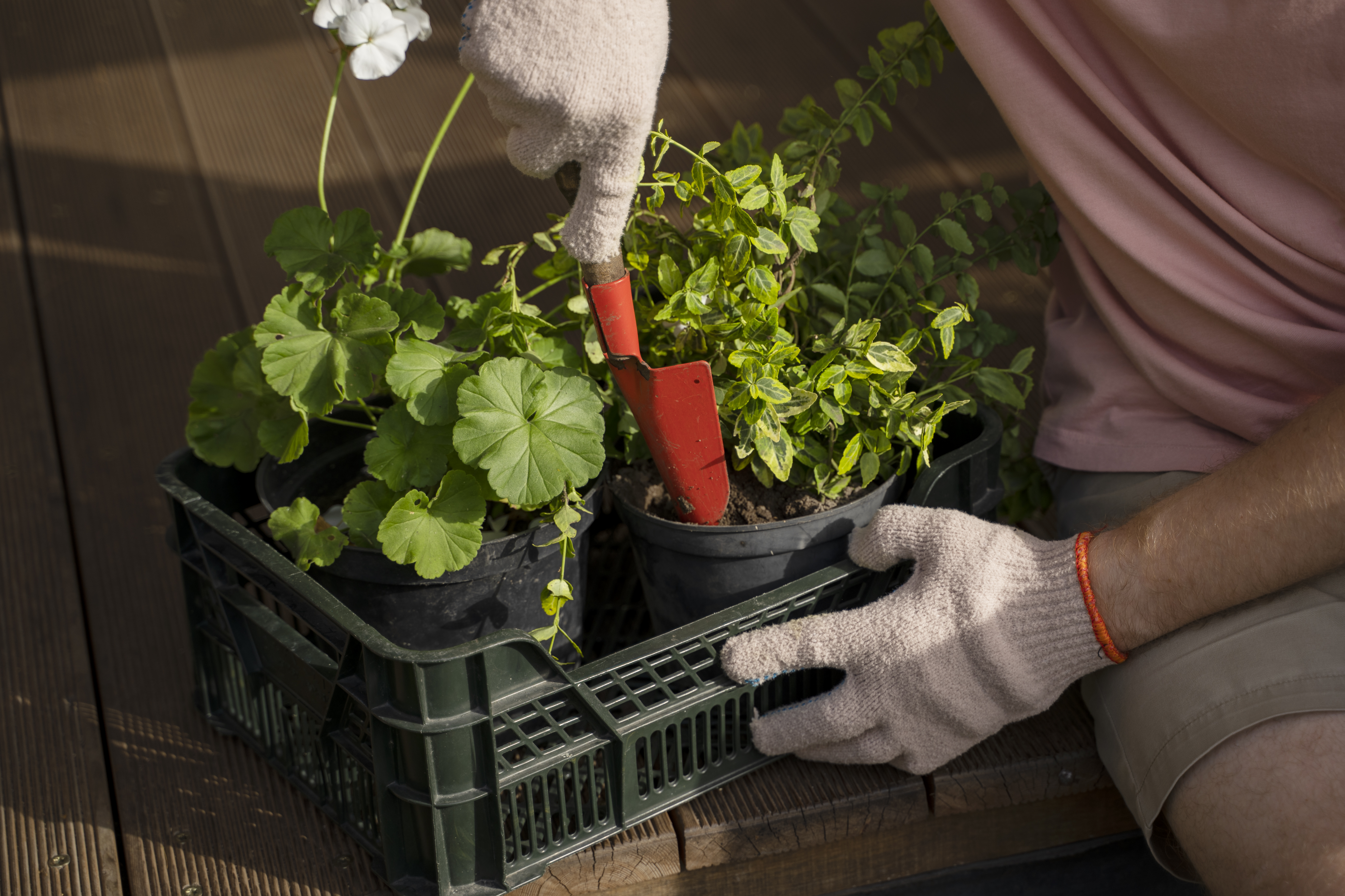 gardening