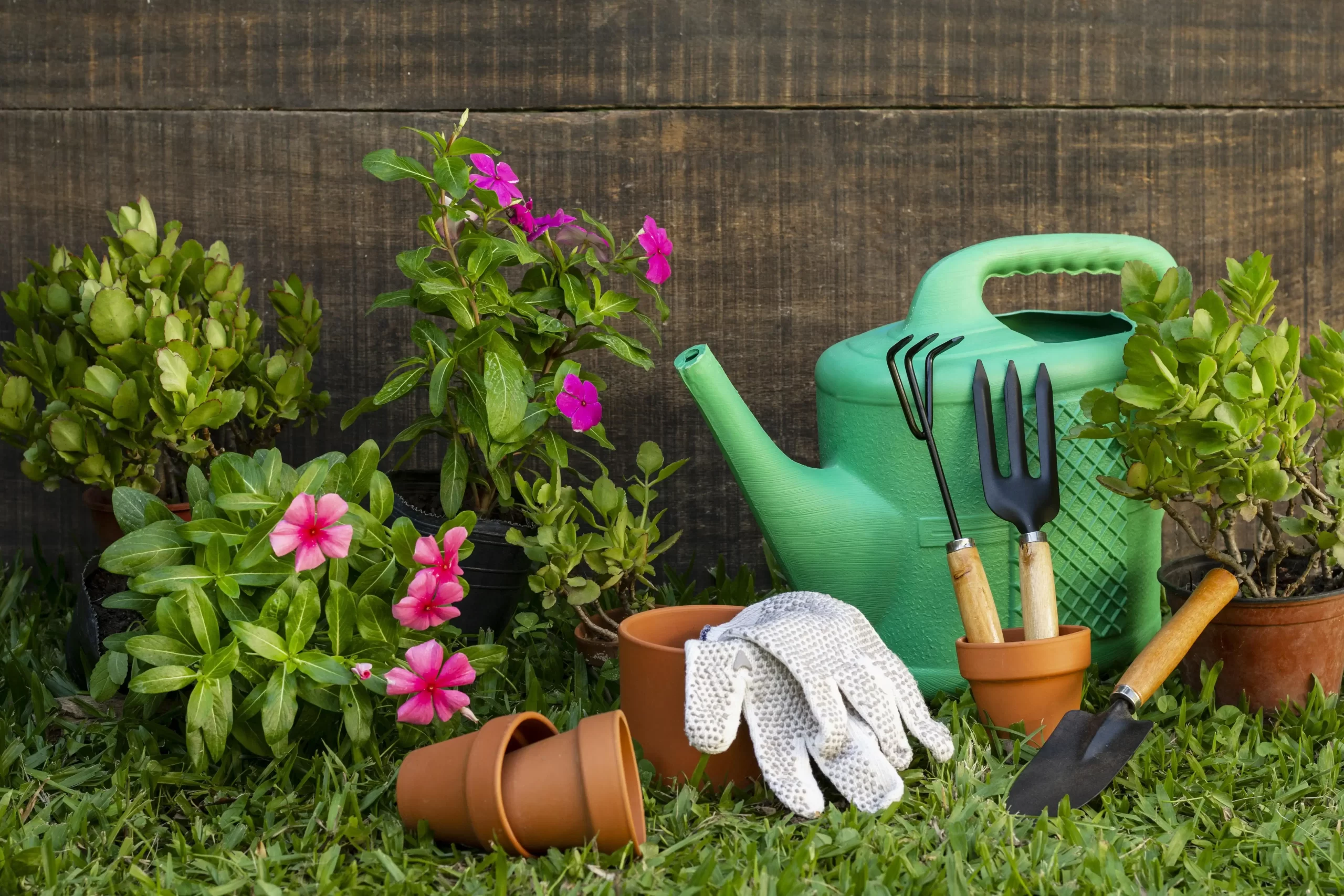 plants pot with watering can 1 1 scaled