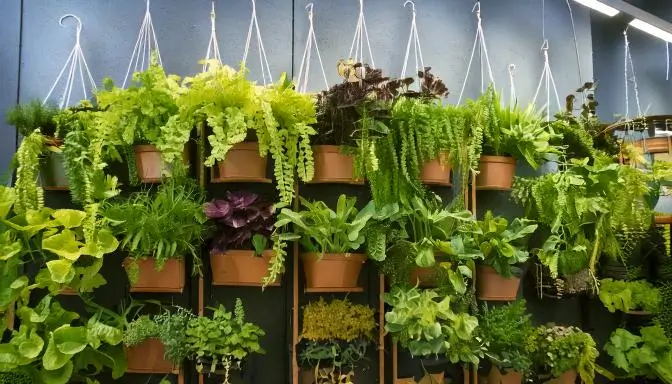 Explore the beauty and functionality of vertical gardening planters, showcasing innovative designs for growing herbs, flowers, and vegetables in small spaces.