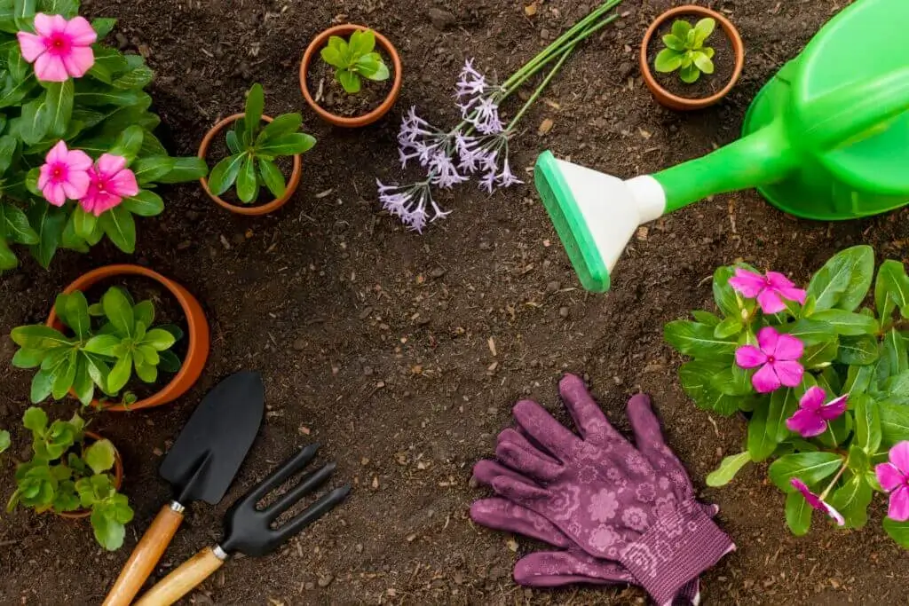 plants gardening tools close up 1 1 1024x683 1 1