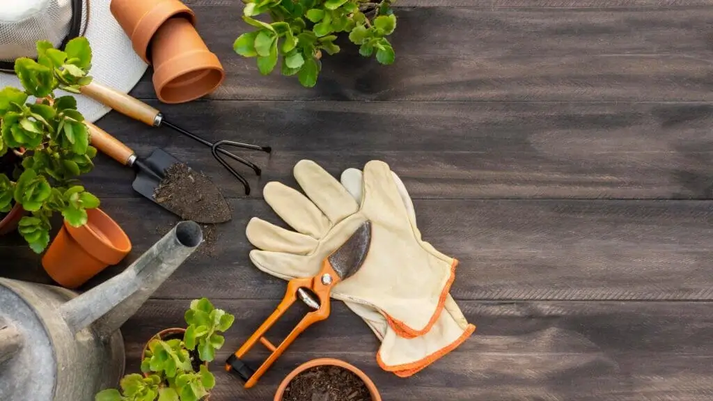 plants gardening tools close up 1024x576 1 1